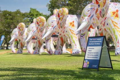 5 Elephants