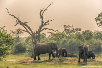 Sri Lanka