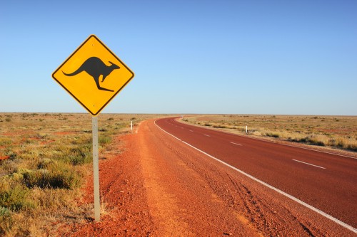 Outback road with kangaroo sign 